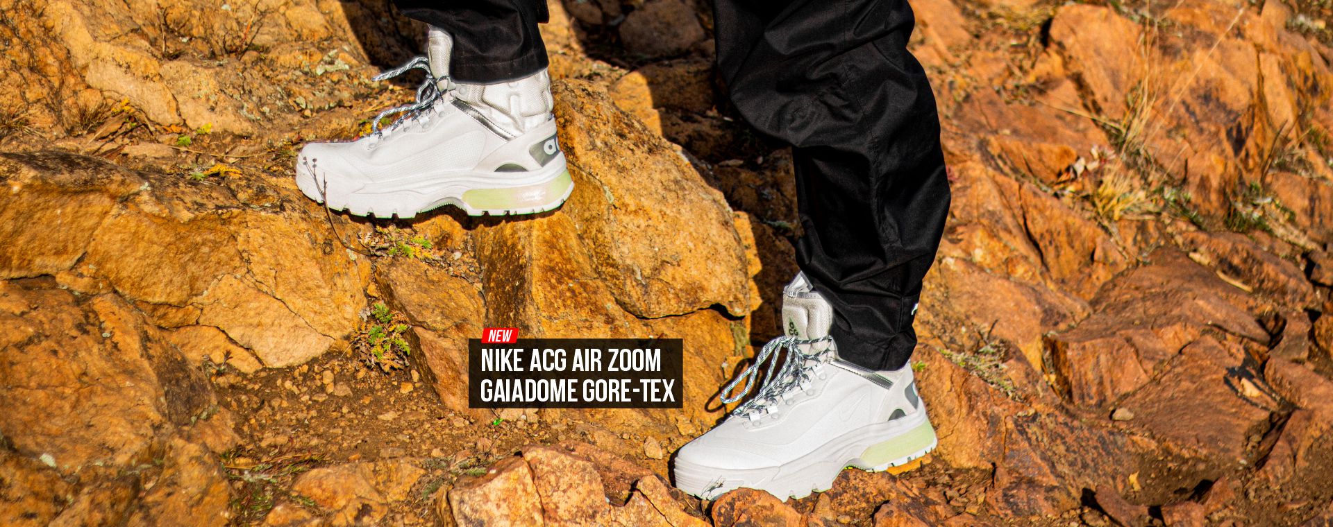 NIKE AСG AIR ZOOM GAIADOME GORE-TEX NIKE AСG AIR ZOOM GAIADOME GORE-TEX