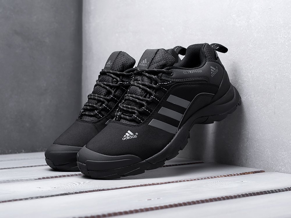 Р‘РѕС‚РёРЅРєРё adidas Terrex Climaproof 2019