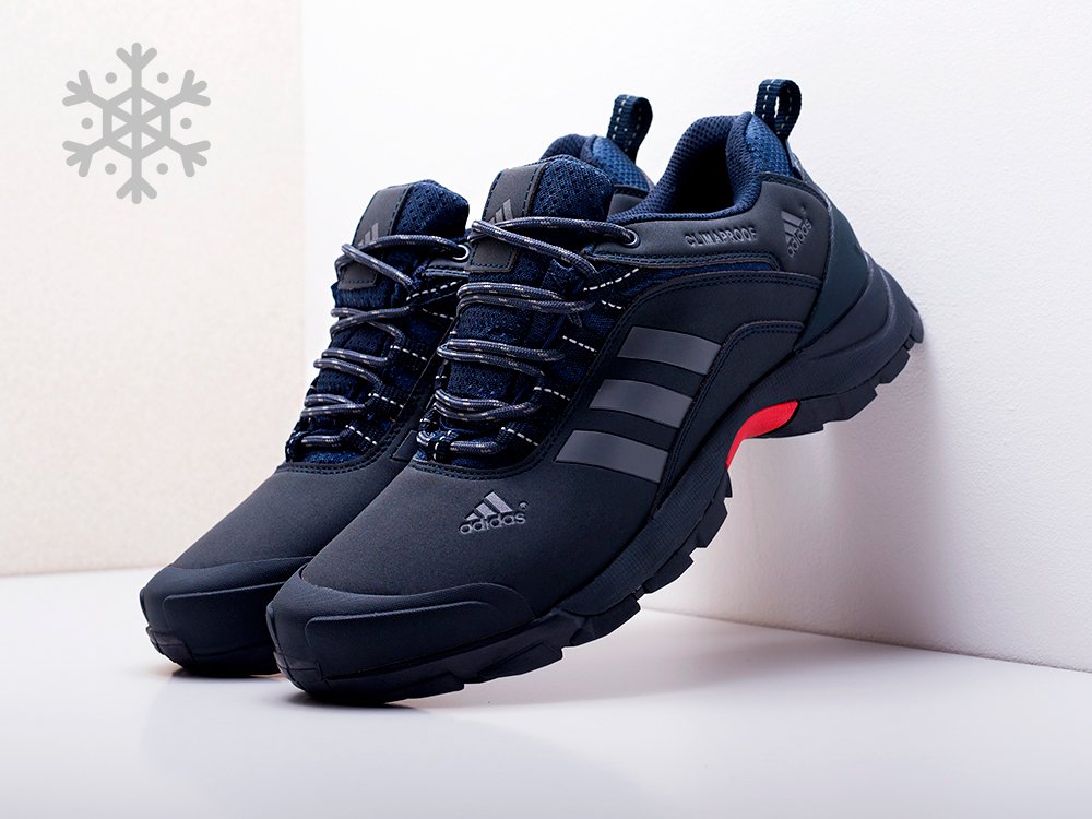 Кроссовки adidas Terrex ax2 Climaproof