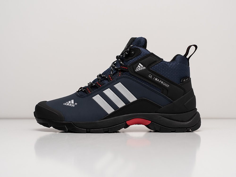 Р‘РѕС‚РёРЅРєРё adidas Terrex Climaproof 2019