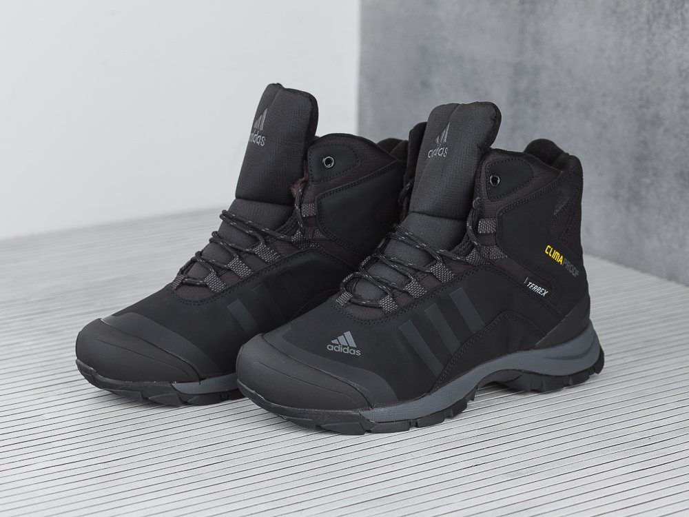 Купить Зимние Ботинки Adidas Terrex